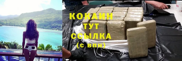 прущий лед Костерёво
