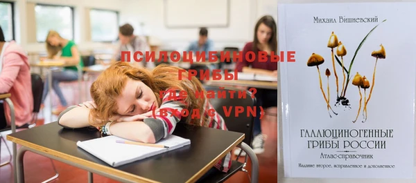 прущий лед Костерёво