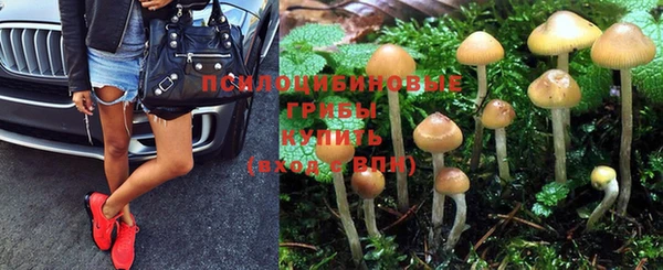 не бодяженный Корсаков