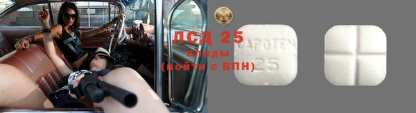 прущий лед Костерёво