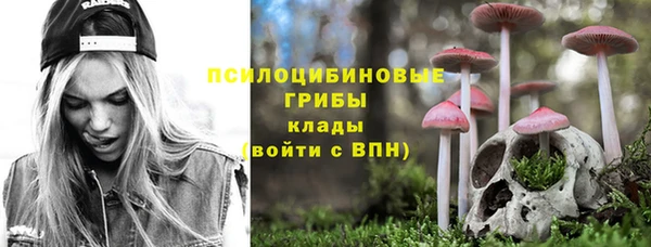 прущий лед Костерёво