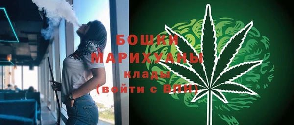 прущий лед Костерёво