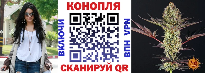 Купить  Каменка  Шишки марихуана OG Kush 